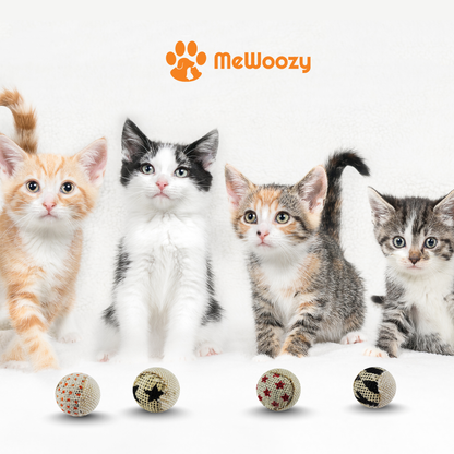 Cat Play Ball – For Hours of Entertainment