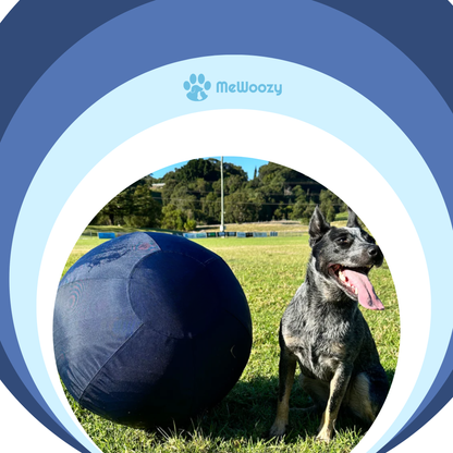 Nylon Dog Toy Ball – For Active Four-Legged Friends