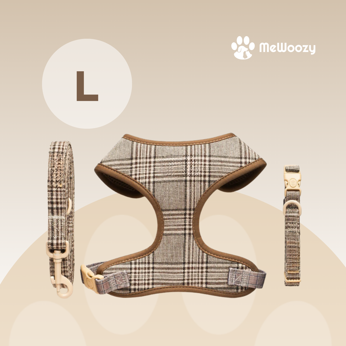 Dog Leash and Collar Set – With Safety Lock