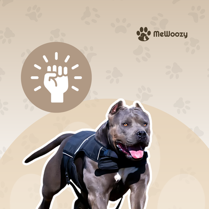 Weighted Dog Harness – For More Strength and Endurance