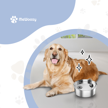 Antispettermat Voor Honden – Voor Schoner Drinkplezier