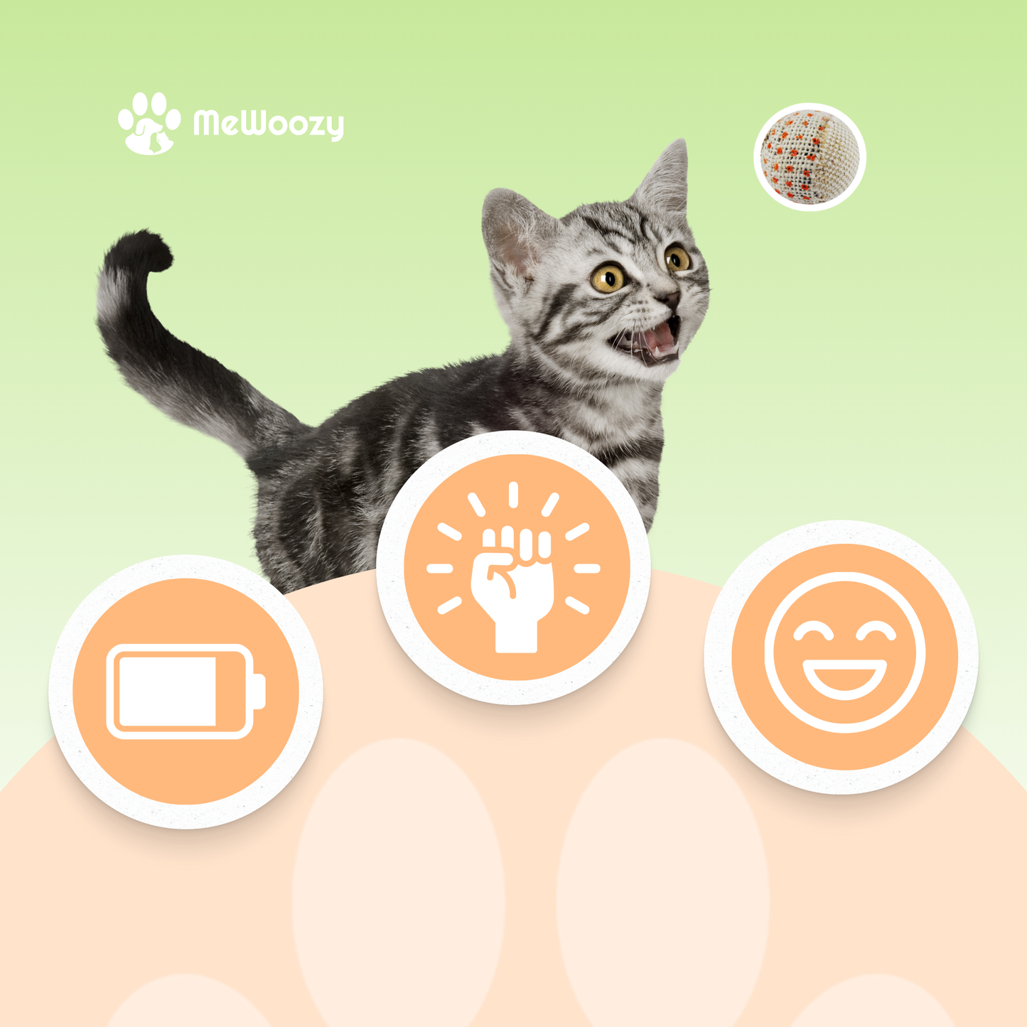 Cat Play Ball – For Hours of Entertainment