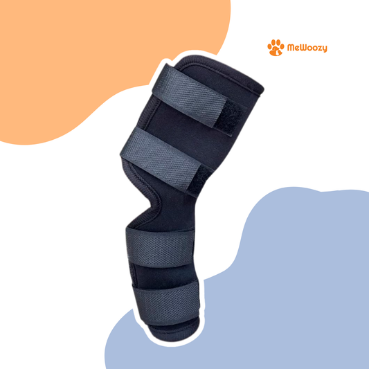 Dog Brace Hind Leg – For Better Joint Support