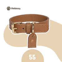 55