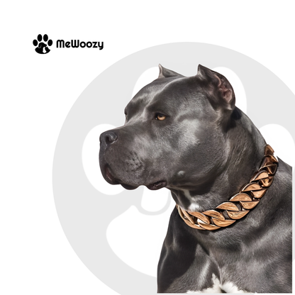 Dog Necklace with Cuban Link – For Extra Style