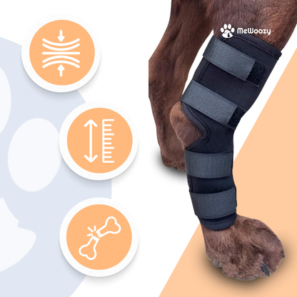 Dog Brace Hind Leg – For Better Joint Support