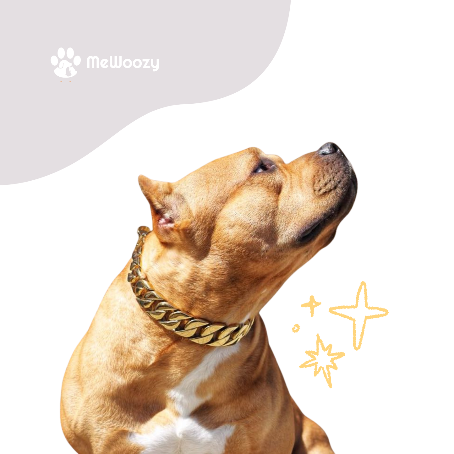 Dog Necklace with Cuban Link – For Extra Style