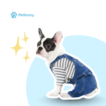 Denim Dog Overalls with Stretch – For Fashion-Conscious Walks