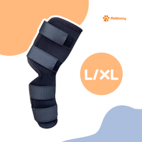 L/XL