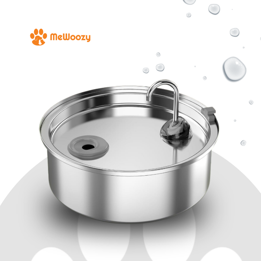 Antispettermat Voor Honden – Voor Schoner Drinkplezier