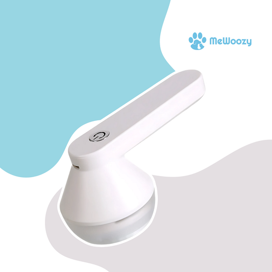 Portable Lof Remover – For Well-Known Clothing On The Go