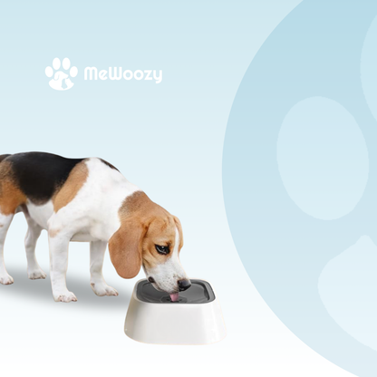 Anti-Spill Dog Drinking Bowl – For Clean Floors at Home