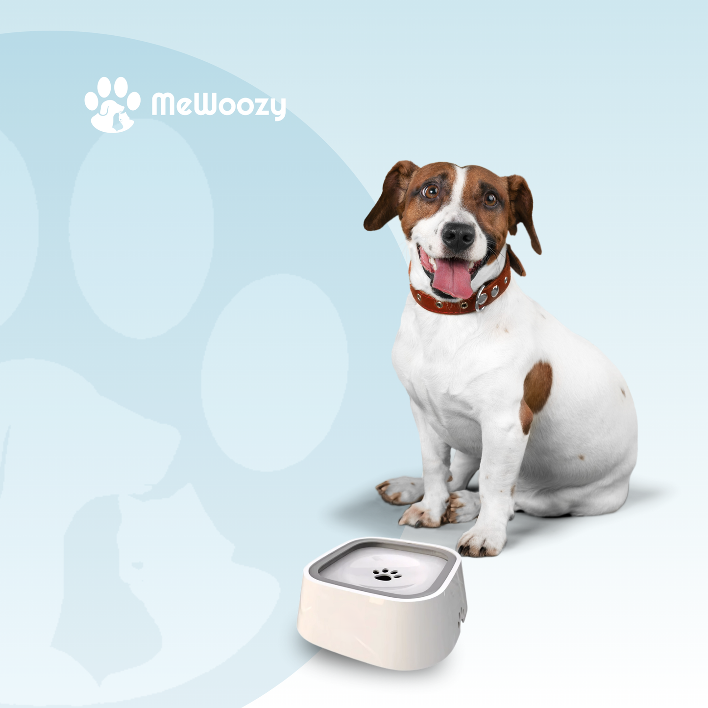 Anti-Spill Dog Drinking Bowl – For Clean Floors at Home