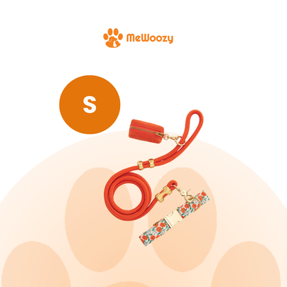 Honden Wandelset Met Halsband En Poepzakhouder – Voor Samen Uit