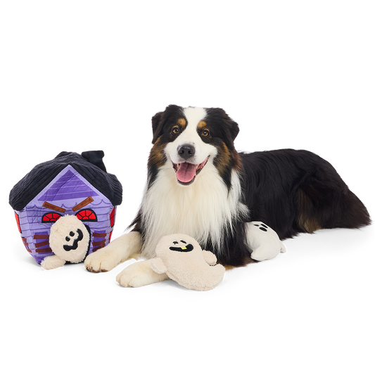 Pluche snuffelspeelgoed spookhuis met drie spookjes naast liggende Australian shepherd