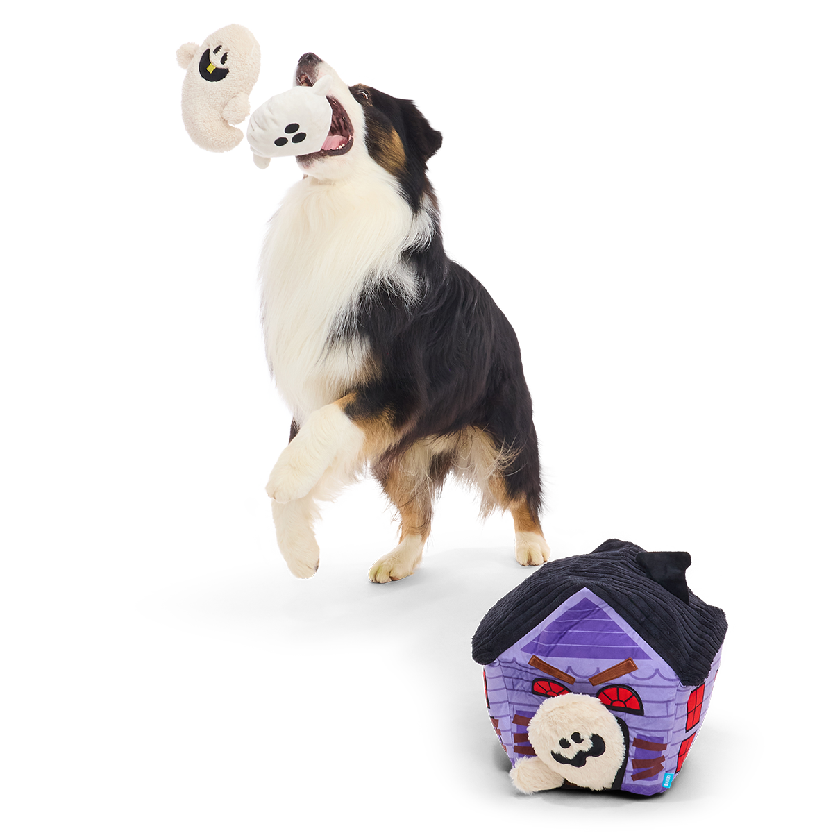 Springende hond vangt pluche spookje, snuffelspeelgoed met spookje op de grond