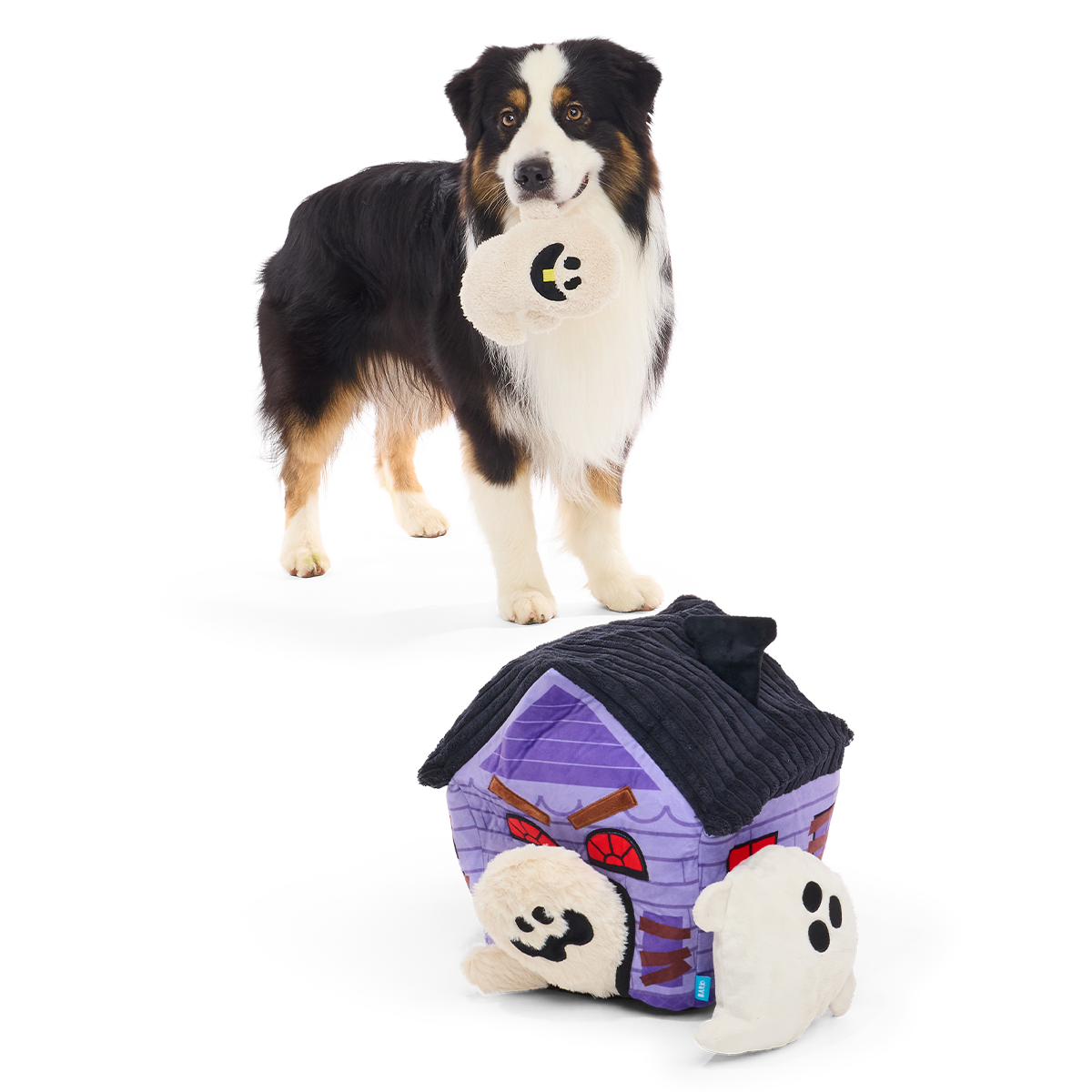 Hond draagt een spookje in de bek naast het paarse snuffelhuis
