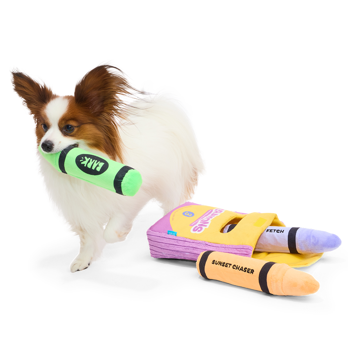 Papillon draagt groen pluche krijtje bij snuffelspeelgoed krijtjesdoos voor honden
