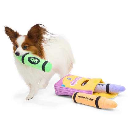 Papillon draagt groen pluche krijtje bij snuffelspeelgoed krijtjesdoos voor honden