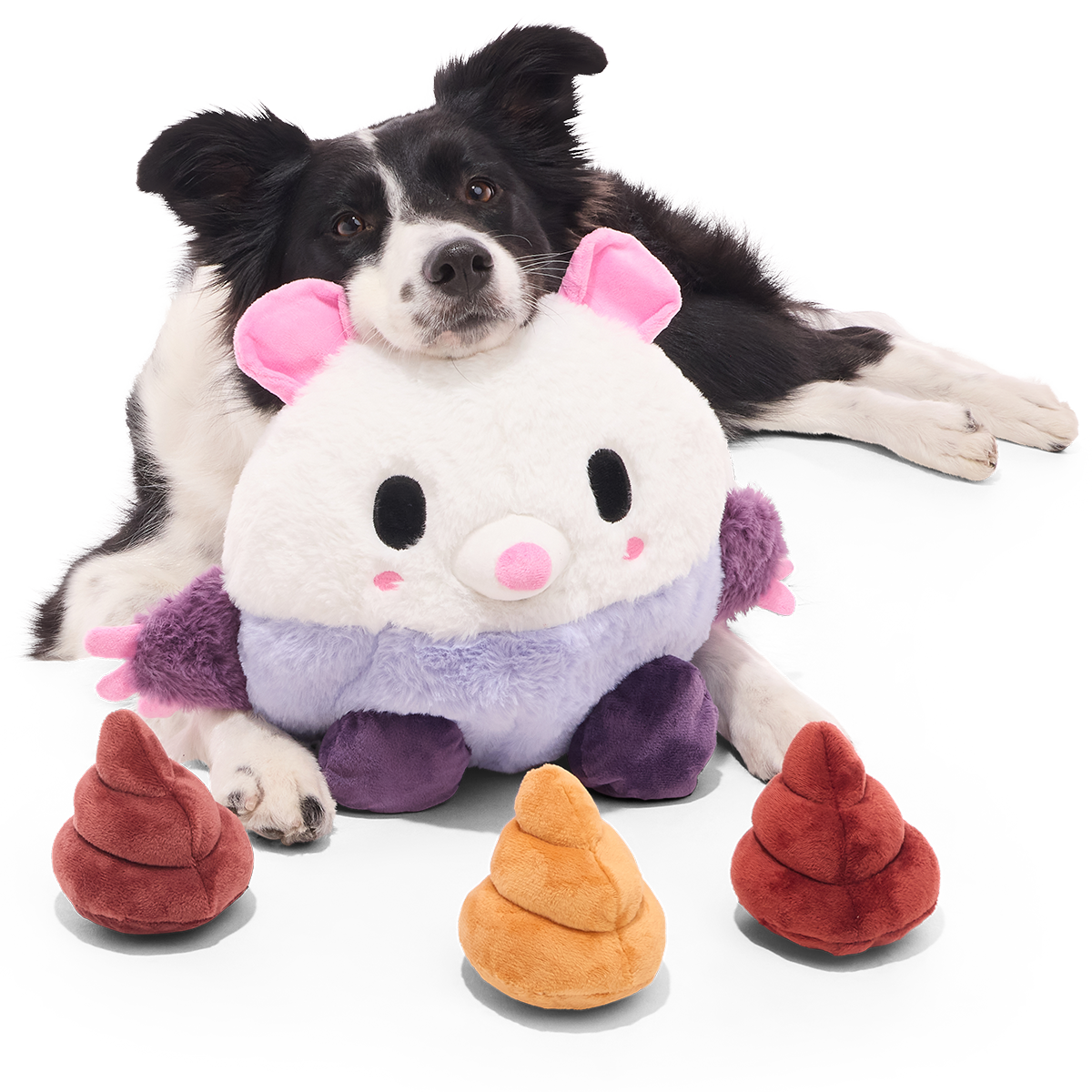 Zwart-witte border collie ligt achter pluchen opossumknuffel met drie drolvormige piepers
