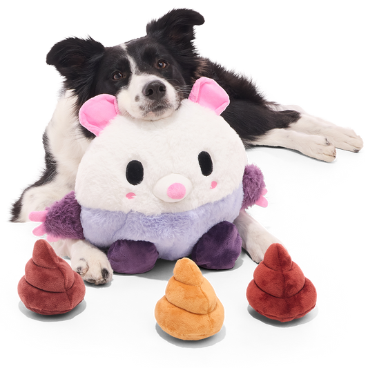 Zwart-witte border collie ligt achter pluchen opossumknuffel met drie drolvormige piepers