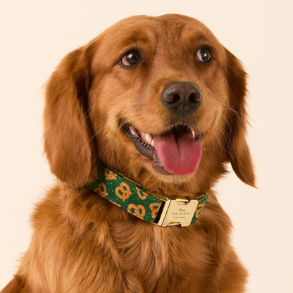 Pretzelfeest Halsband Voor Honden