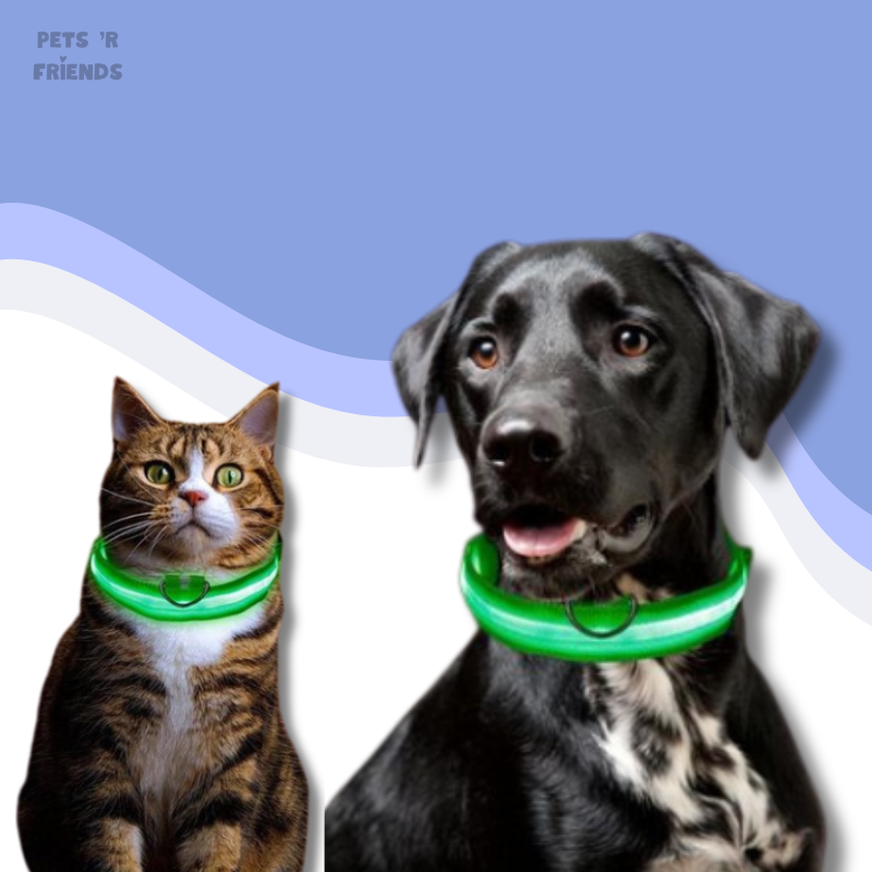 Groene led halsband om de nek van een cyperse kat en zwarte hond