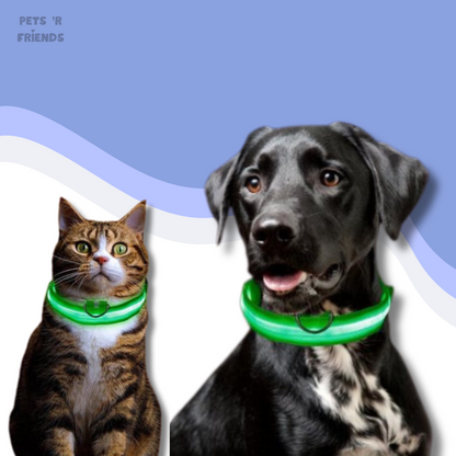 Groene led halsband om de nek van een cyperse kat en zwarte hond