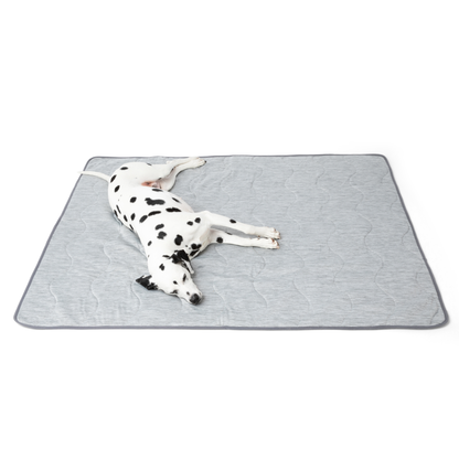 Cool Dog Blanket – Heat &amp; Stain Protection