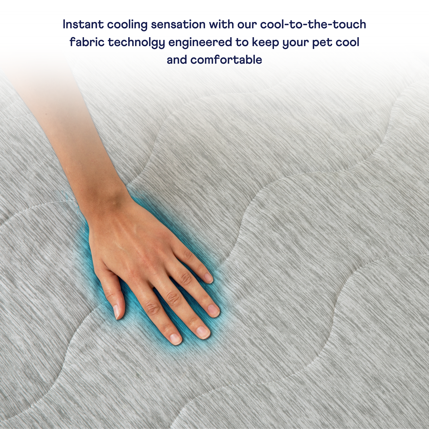 Cool Dog Blanket – Heat &amp; Stain Protection