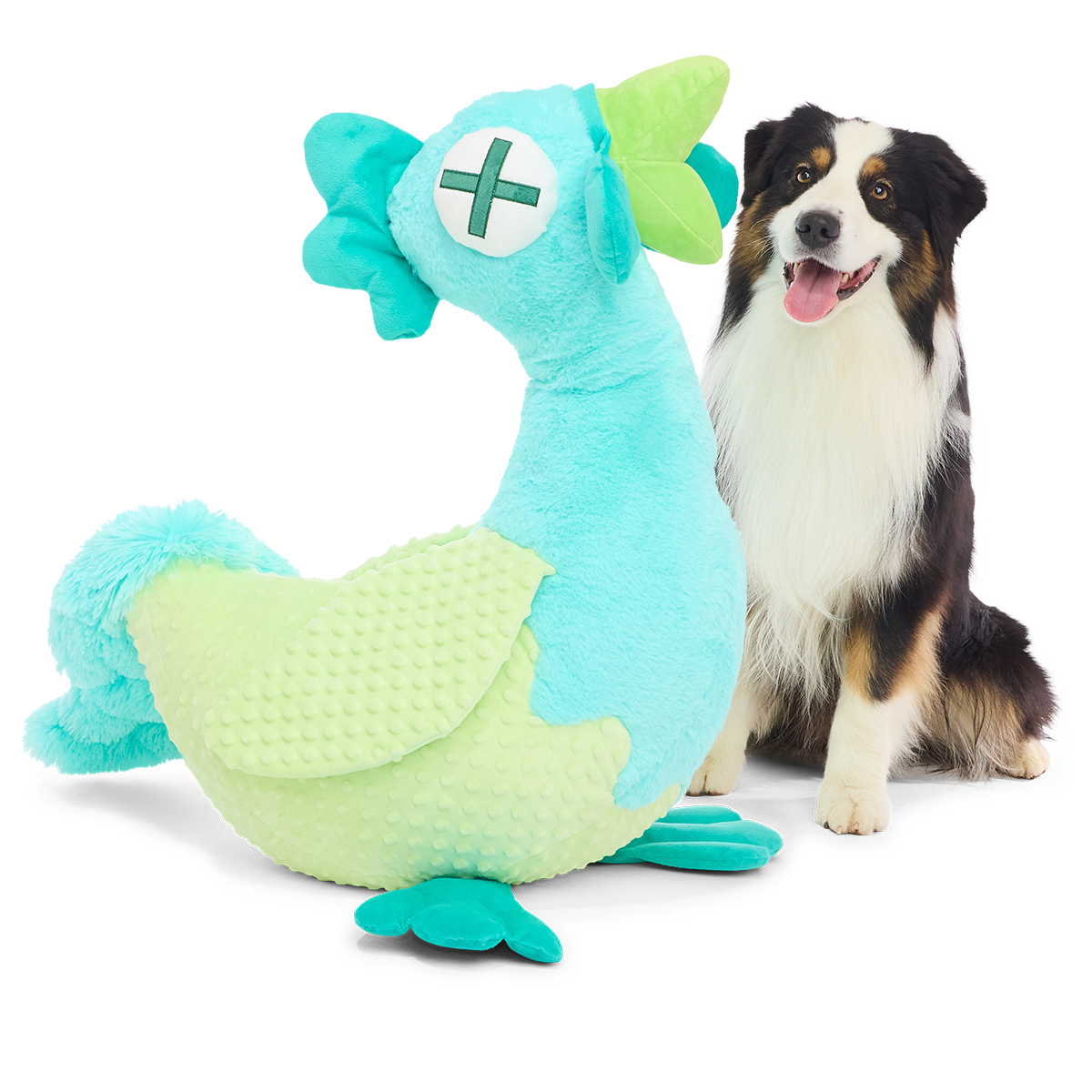 Grote turquoise knuffelkip voor honden met piepers naast een zittende Australian shepherd