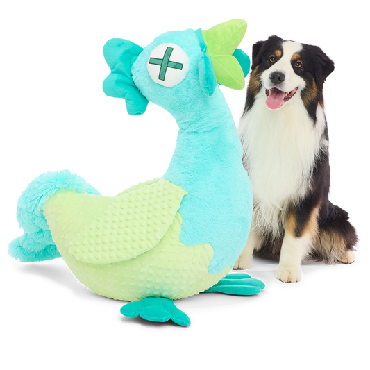 Grote turquoise knuffelkip voor honden met piepers naast een zittende Australian shepherd