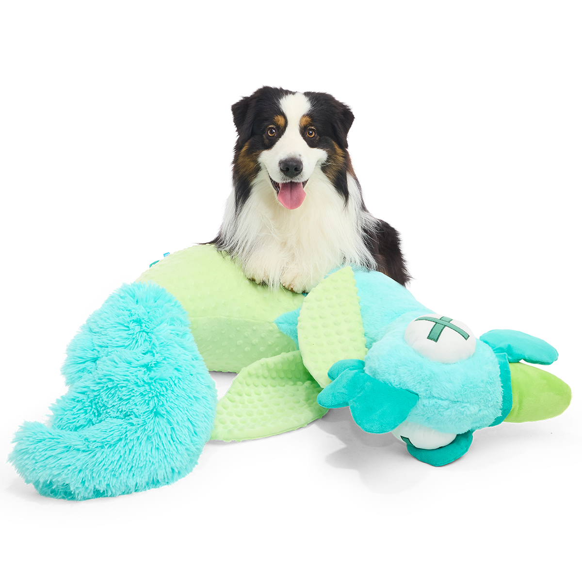 Hond ligt achter de knuffel, die plat op zijn zij ligt