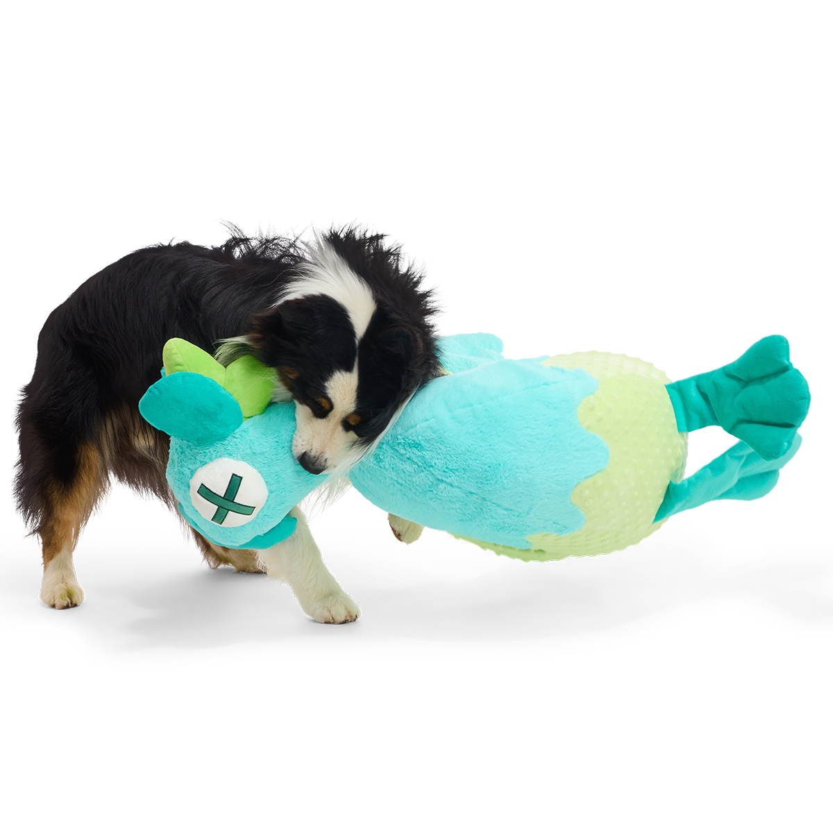 Australian shepherd sleept de grote knuffelkip met zijn bek over de vloer
