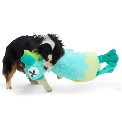 Australian shepherd sleept de grote knuffelkip met zijn bek over de vloer