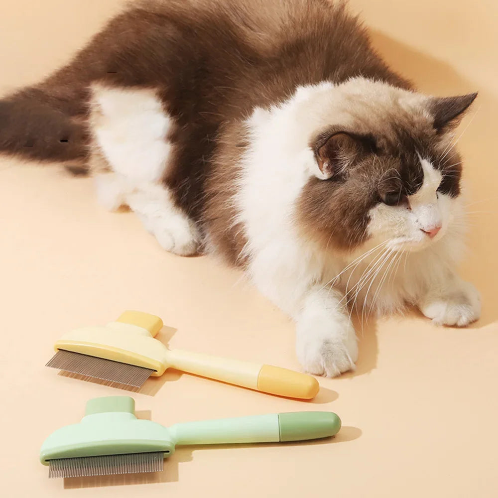 Bruin-witte kat ligt naast een gele en een groene vachtborstel