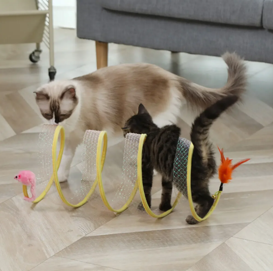 Twee katten snuffelen aan de kattentunnel op een houten vloer