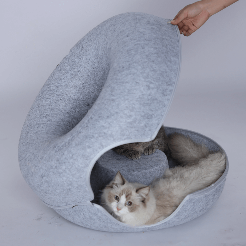 Hand tilt de bovenkant van de kattengrot op, twee katten liggen binnenin