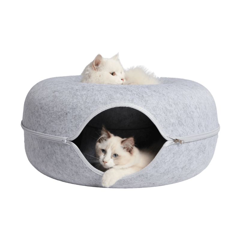 Twee witte katten in de kattengrot, één bovenop en één in de opening