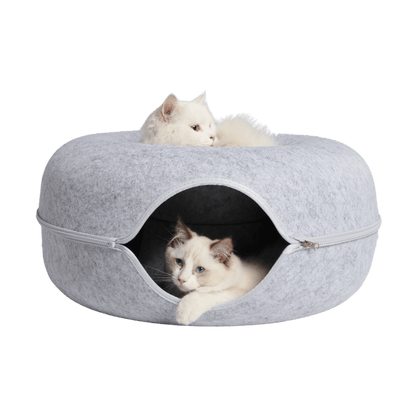 Twee witte katten in de kattengrot, één bovenop en één in de opening