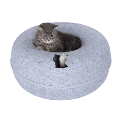 Grijze kat in de bovenopening van de kattengrot met kattenvormig kijkgat