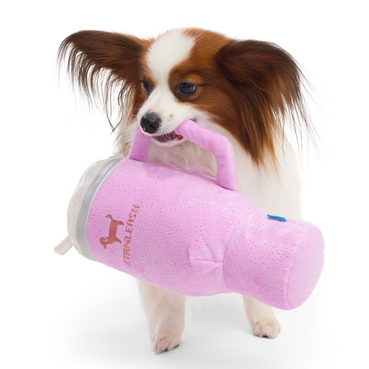 Papillon draagt de roze glitterbeker aan het handvat in zijn bek