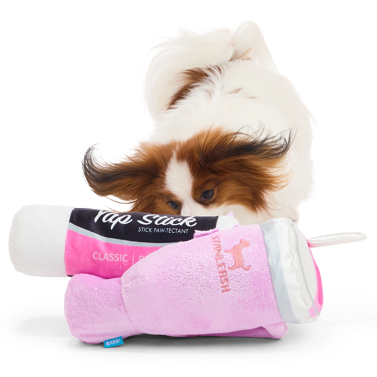 Papillon snuffelt aan de liggende beker met de Yap Stick ernaast