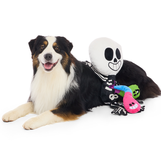 Australian shepherd ligt naast grote zwart-witte skeletknuffel met twee gekleurde wormpjes