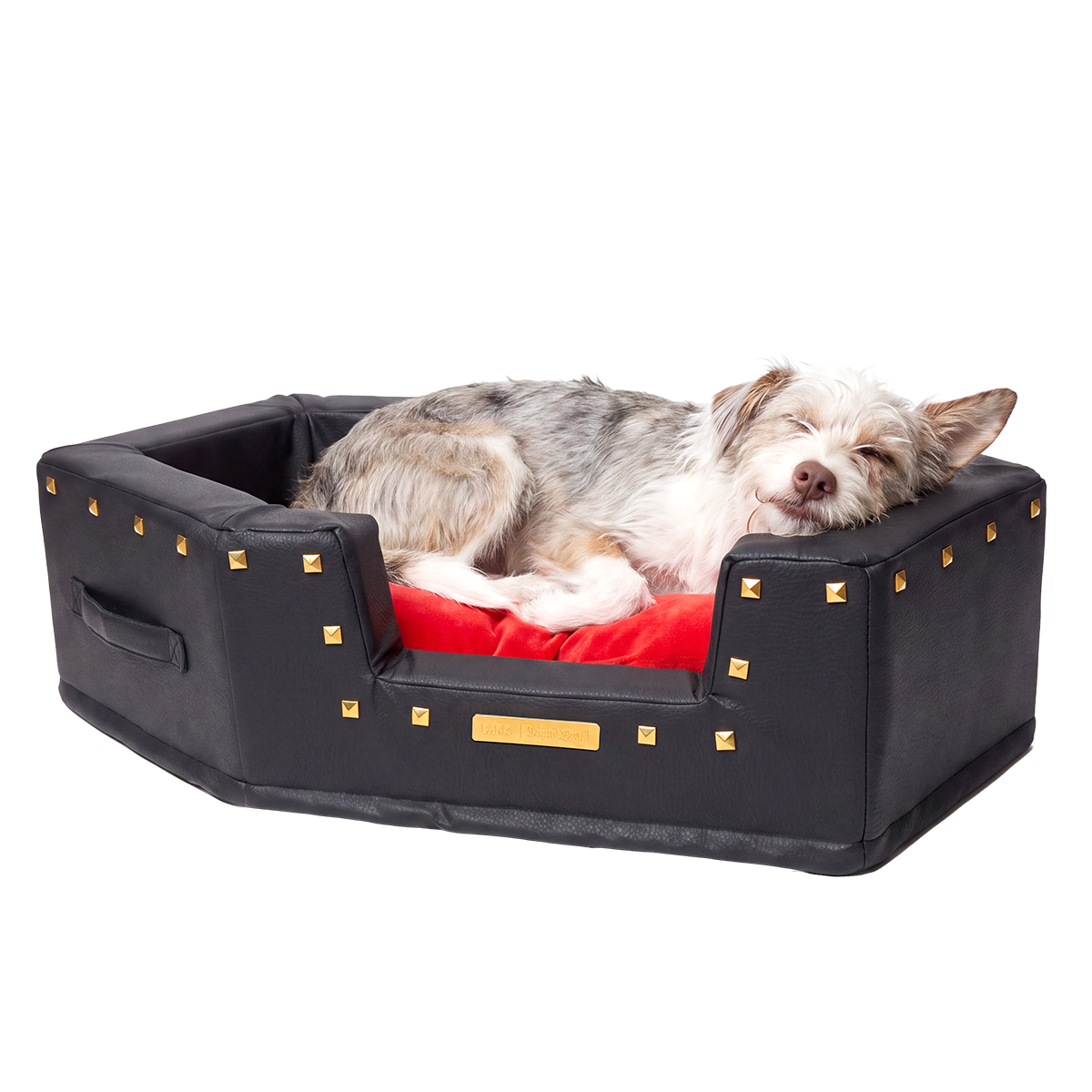 Kleine grijswitte hond ligt te slapen in het zwarte hondenbed