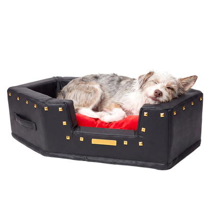 Kleine grijswitte hond ligt te slapen in het zwarte hondenbed