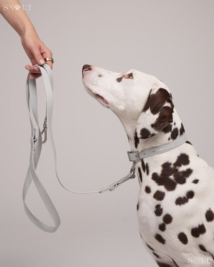 Bungee Hondenriem 1.2M – Met Schokabsorbering