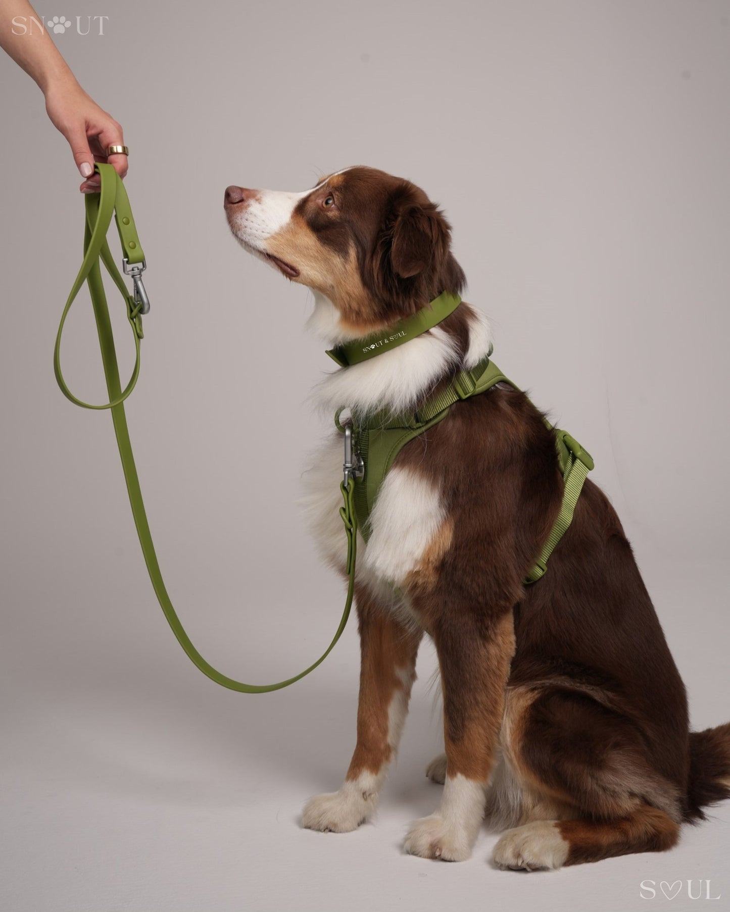 Bungee Hondenriem 1.2M – Met Schokabsorbering