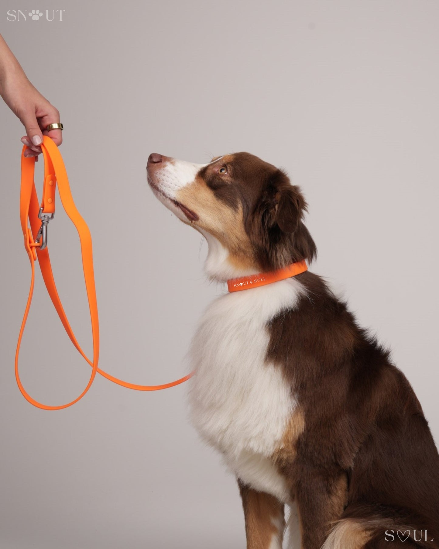 Bungee Hondenriem 1.2M – Met Schokabsorbering