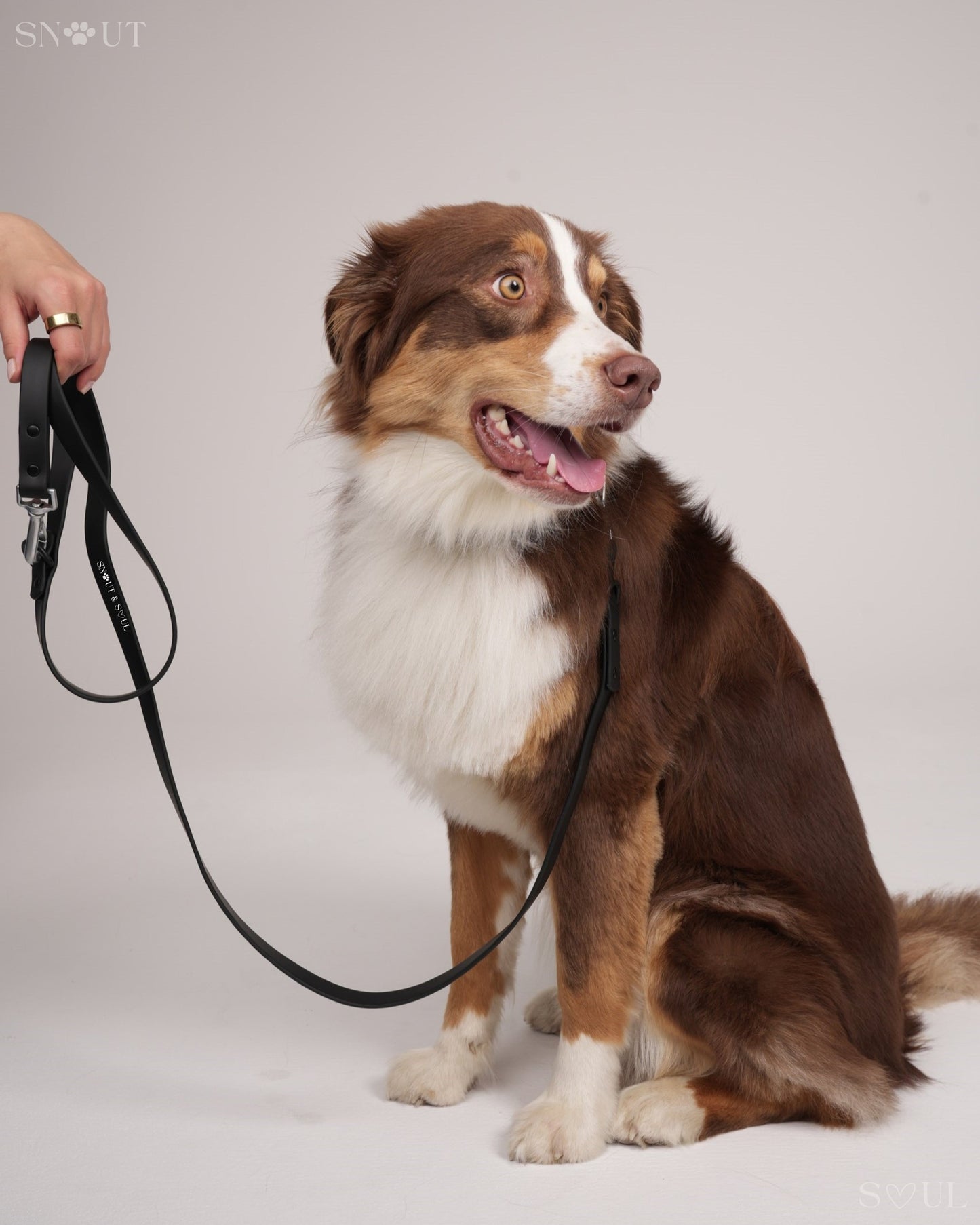 Bungee Hondenriem 1.2M – Met Schokabsorbering